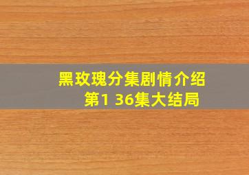 黑玫瑰分集剧情介绍 第1 36集大结局